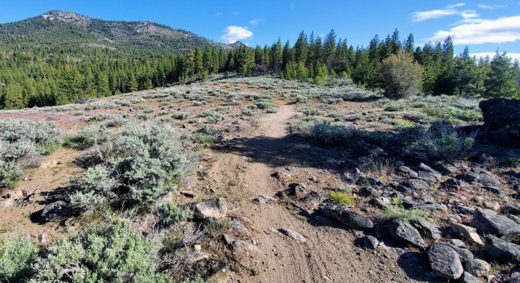Hiking trails at Beckwourth Peak Recreation Project near Portola, California