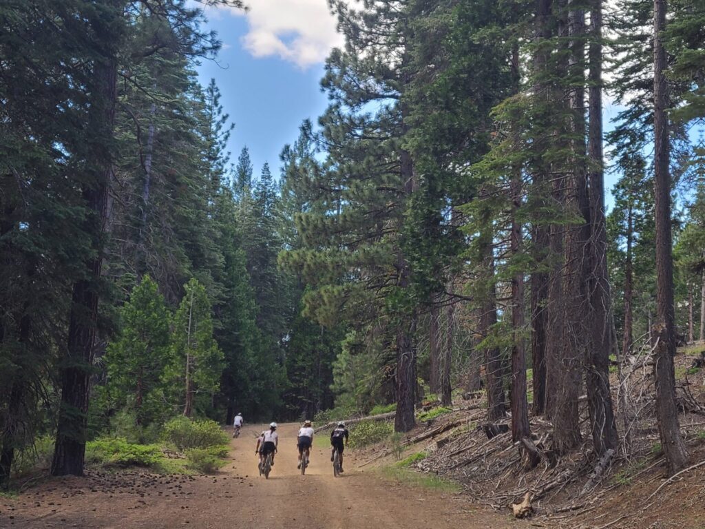 Gravel riders on a forest road in the Lost Sierra