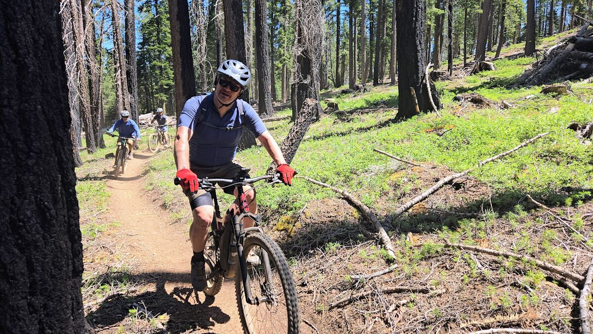 Mt. Hough mountain biking singletrack trails near Quincy, California Lost Sierra