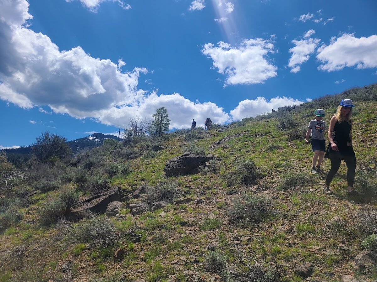 Hiking trail through the forest near Beckwourth Peak High Camp